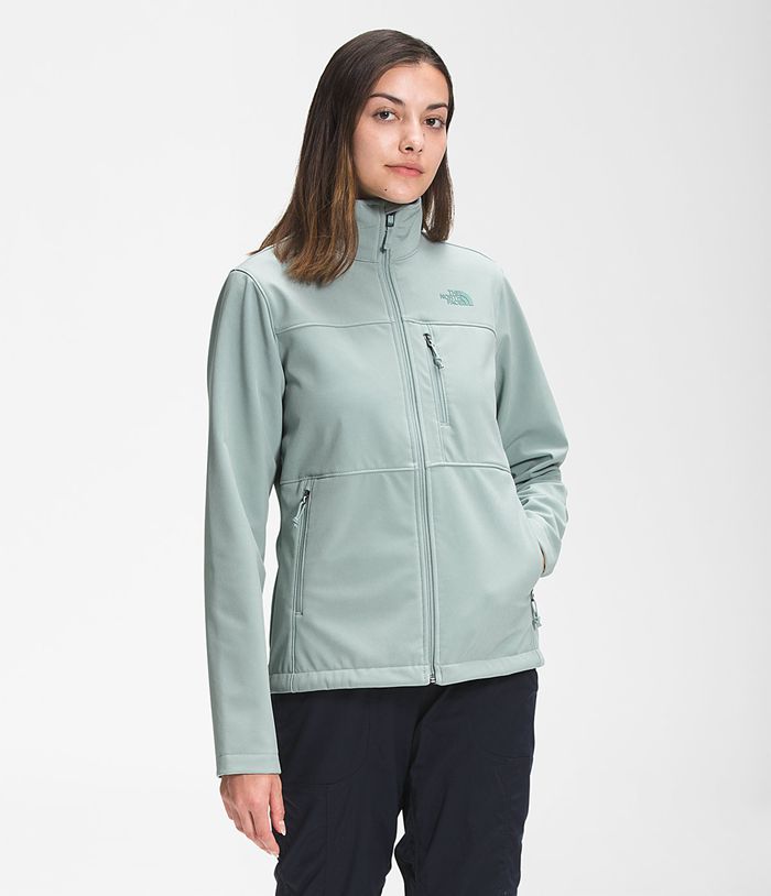 Chaqueta Softshell The North Face Mujer Plateadas Azules Apex Bionic 76901MHGB